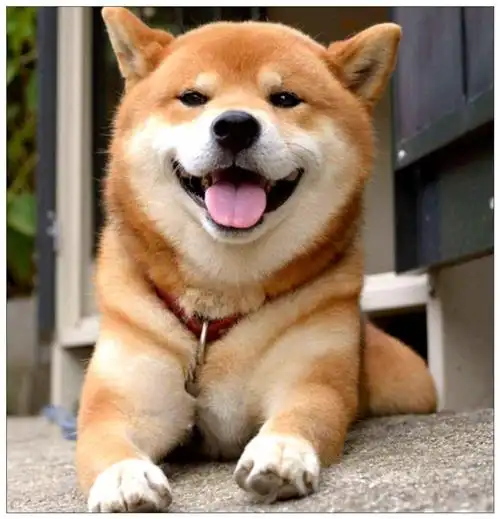 这么多上影线反正要跌了不急反正就这几天必有大跌