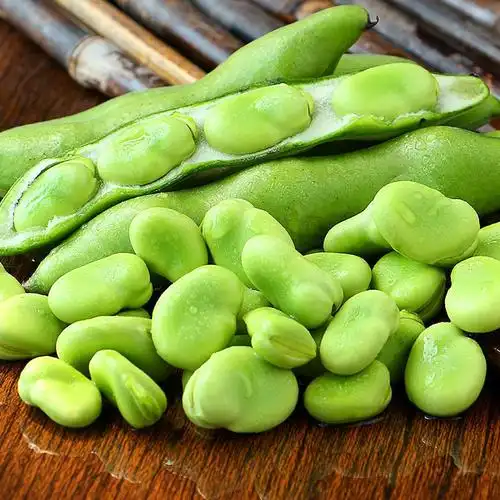 苏北农家新鲜嫩蚕豆带壳生蚕豆嫩胡豆青蚕豆绿皮罗汉豆兰花豆蔬菜