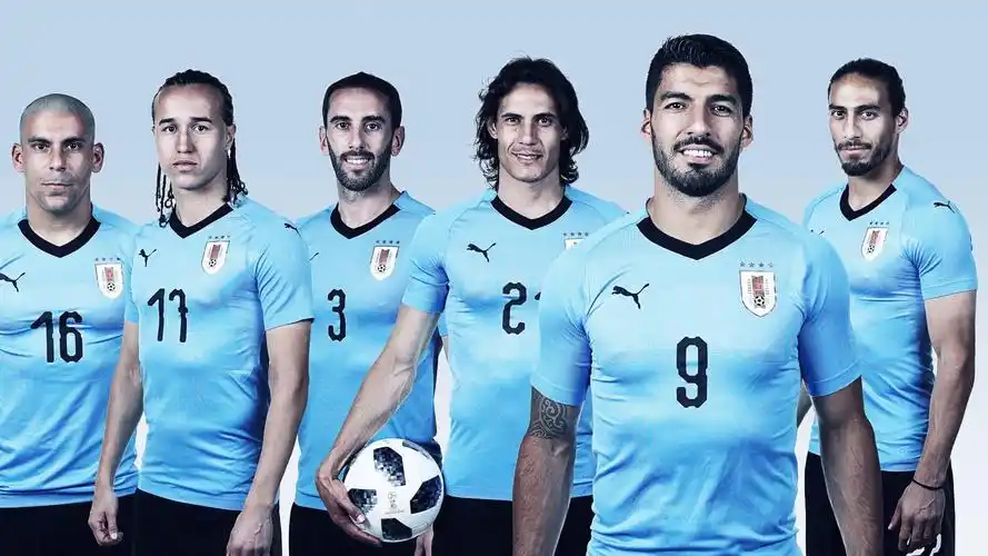 四分之一决赛中的乌拉圭队