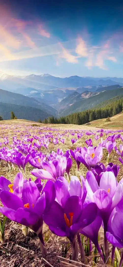 周三精选今日美丽风景壁纸