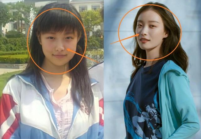 都说倪妮颜值不是一般高,看到她中学时期的模样,有无整容很显然
