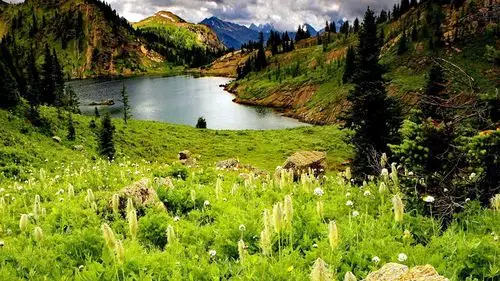 宽屏:阿尔伯塔高清桌面壁纸美丽的大自然高清:全屏