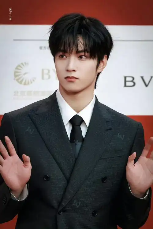 刘耀文红毯生图