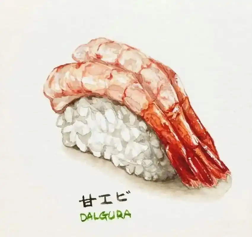 一组美食手绘寿司作品 画师ins:dalgura#手绘 #手 - 抖音