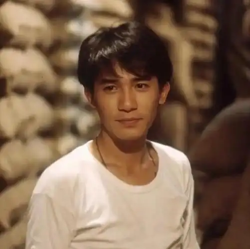 多年来,娱乐圈中流传着这样一句话:帅不过梁朝伟.