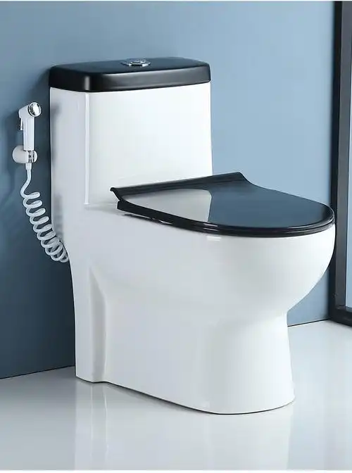 简约妮卡(jianyuenika) zixiu马可波罗小户型黑色马桶左右排后排坐便