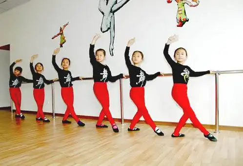 供应舞蹈室木纹胶地板 舞蹈室专用地板