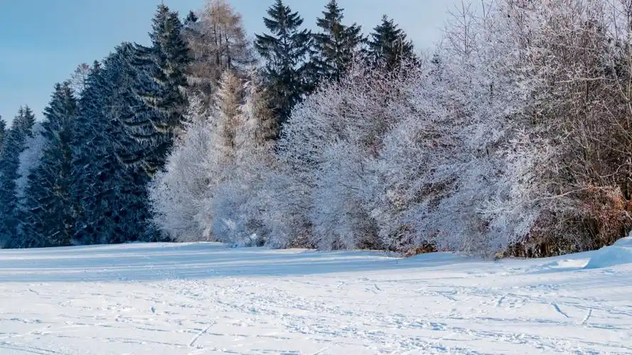 高清冬季白雪图片(10/11)