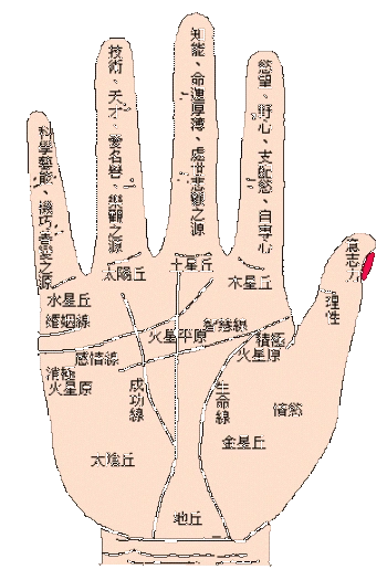 重庆风水大师陆淼淼讲手相看财运