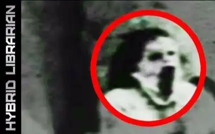 hybridlibrarian七个最令人毛骨悚然的真实幽灵照片万圣节特辑柚子木