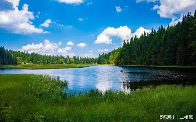 属虎,属蛇和属兔的人将会迎来天赐福缘,他们的财运将会更加旺盛.