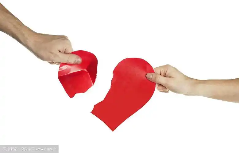 情人节的概念.撕裂的心.孤立的背景