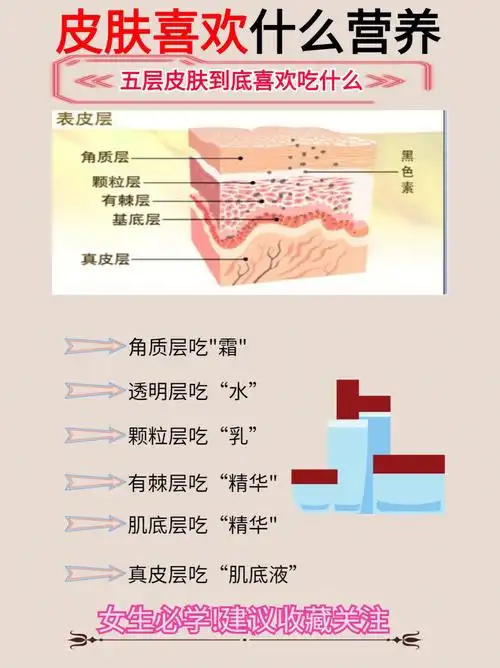 皮肤喜欢什么营养五层皮肤到底吃什么71