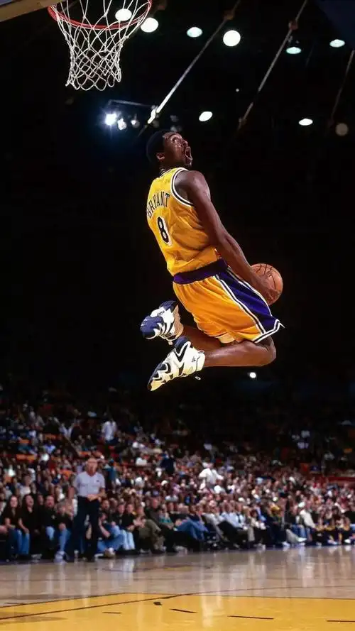 心痛——布莱恩特-科比,瓦妮莎年轻真漂亮