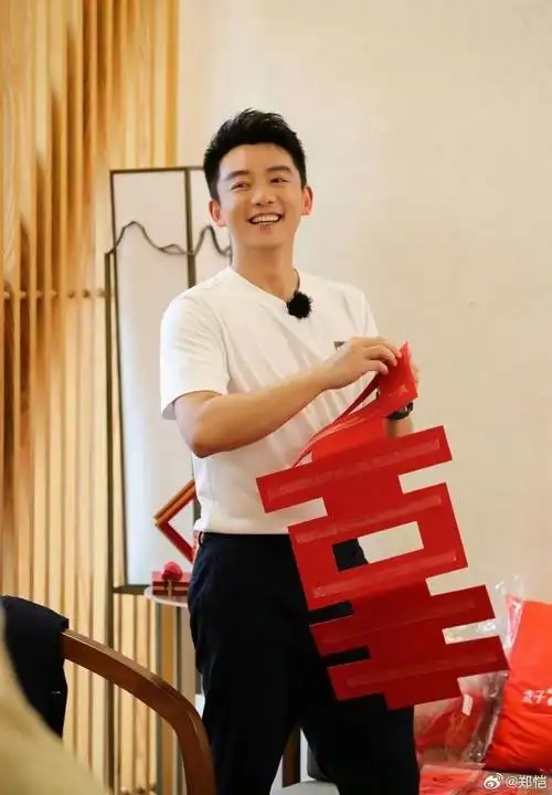 这薪水让人太震惊了!网疯传郑恺判决书!工作8小时日薪400万|片酬_网易