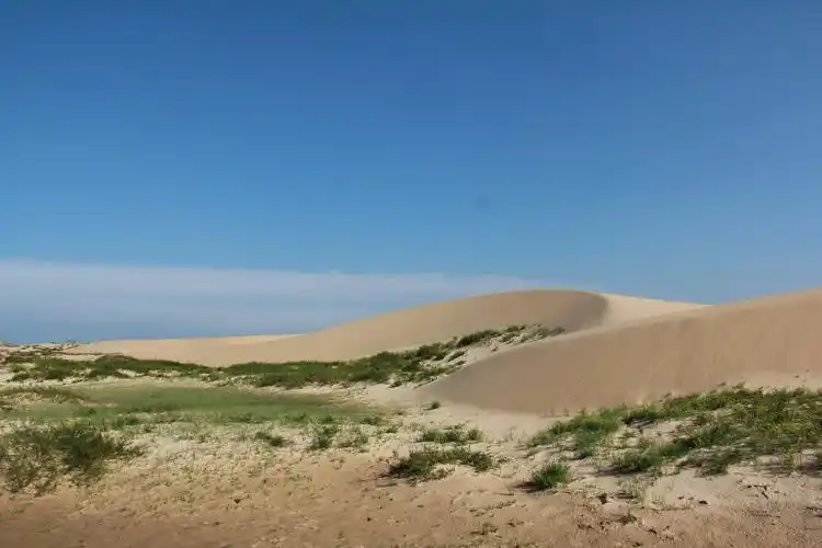 呼伦贝尔大草原旅友七日行