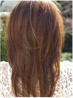 请问发根发梢发尾分别在那个位置啊