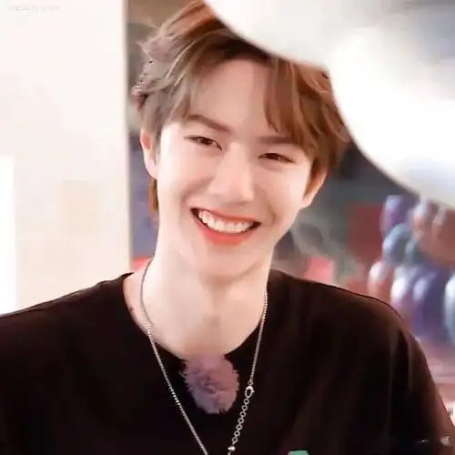 微信头像王一博