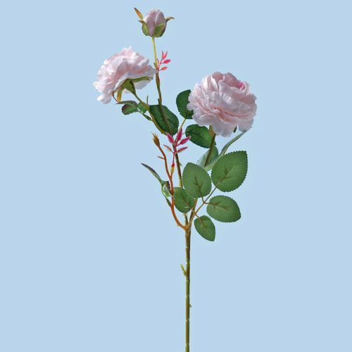 奶粉 简单尝试(3个花朵)一只