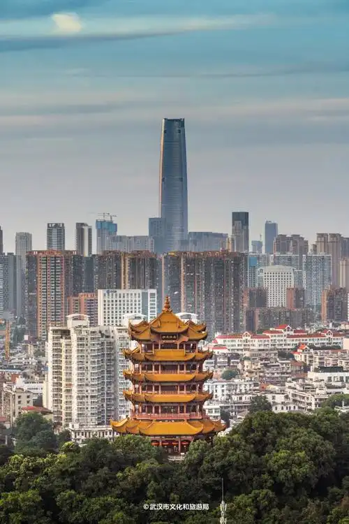 报董宇辉首场户外直播第一站武汉