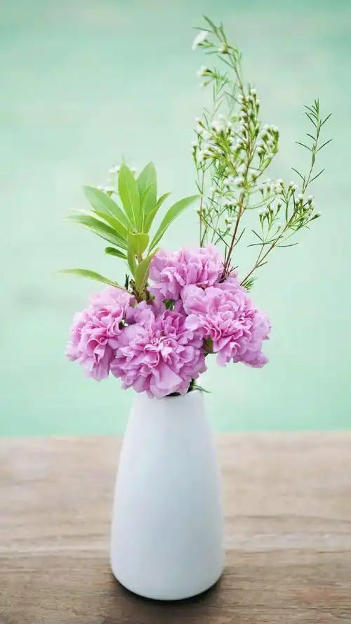 可以当做壁纸的十二生肖幸运花,每天看得见的幸福满满