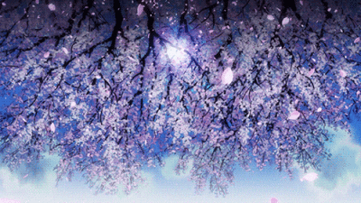 梦想- 堆糖,美图壁纸兴趣社区