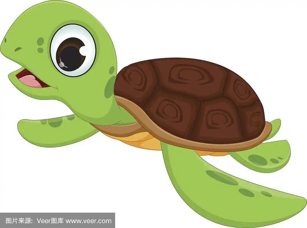 可爱海龟卡通