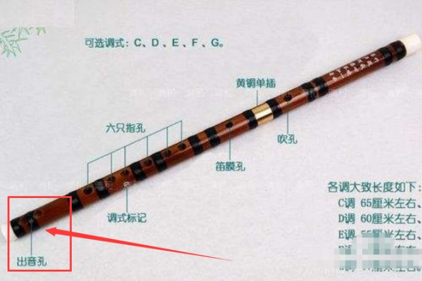 笛子后出音孔有几个,分别在哪里?