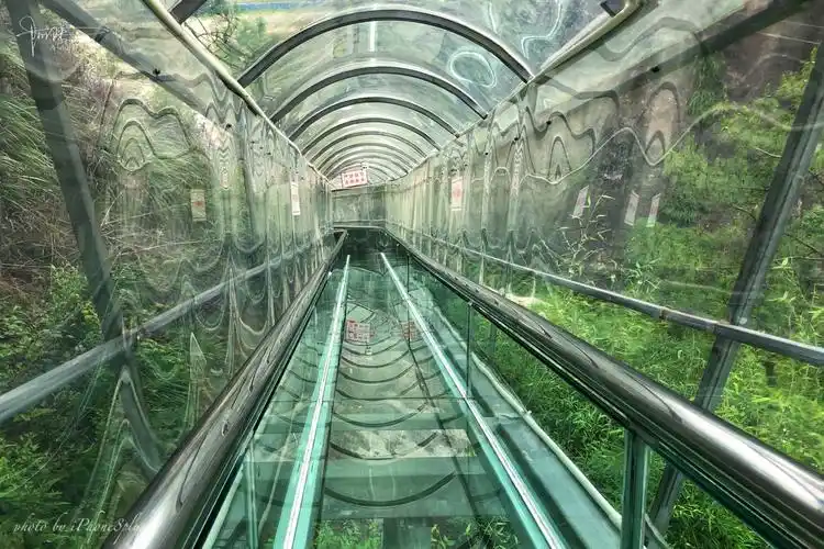 身处其中,手机拍摄520米长的双童山玻璃滑道-搜狐大视野-搜狐新闻