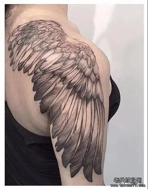 纹身素材第548期——背部翅膀大图