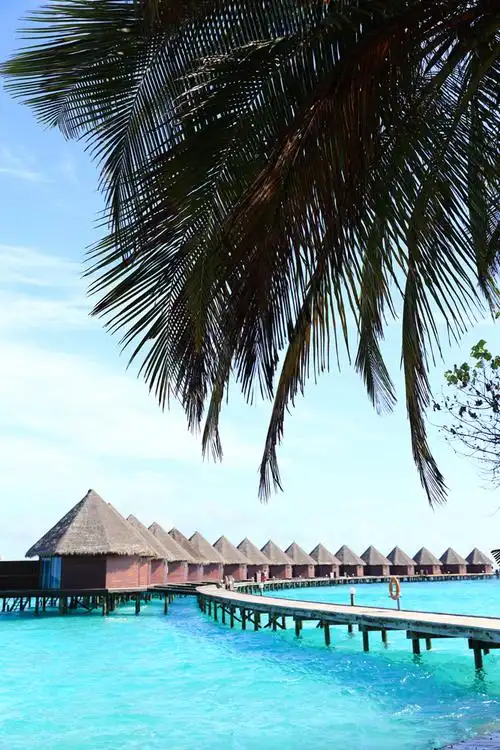 马尔代夫-蓝色美人蕉岛