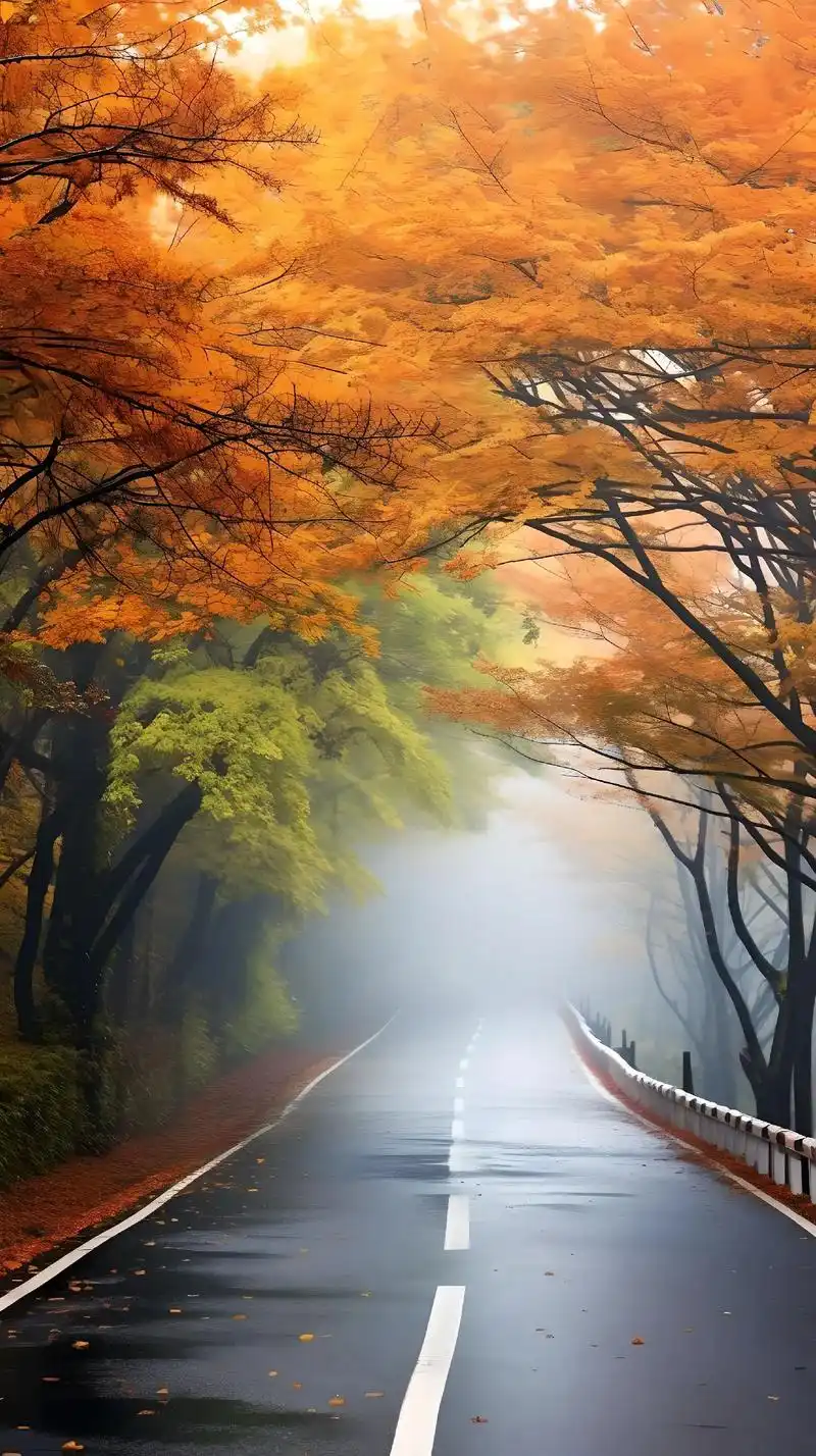 是谁发现了秋天的美景 #属于秋天的颜色 #美图分享 #图文 - 抖音