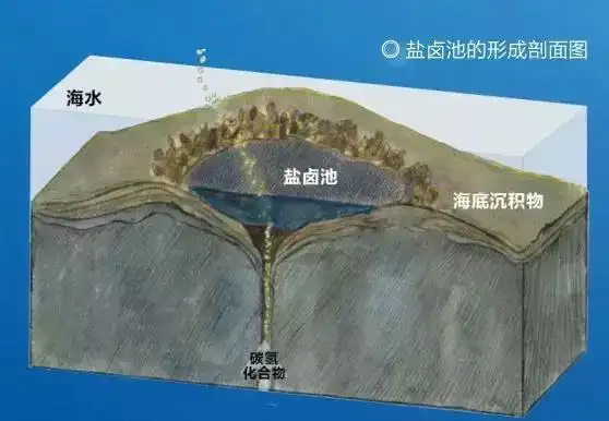 奇闻;那不勒斯死亡谷,海底的湖泊及帕劳水母湖_盐卤