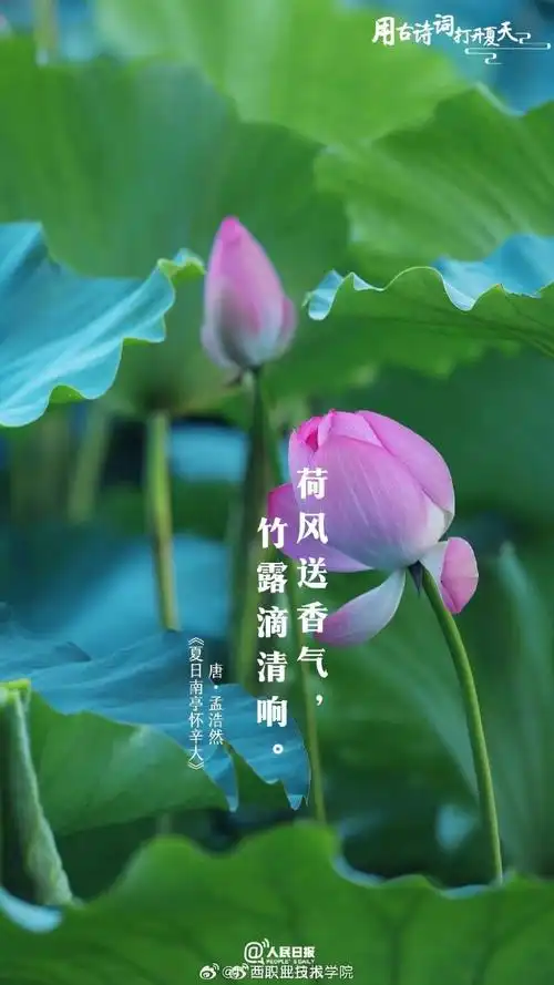 用古诗词打开夏天～(图片via-人民日报)