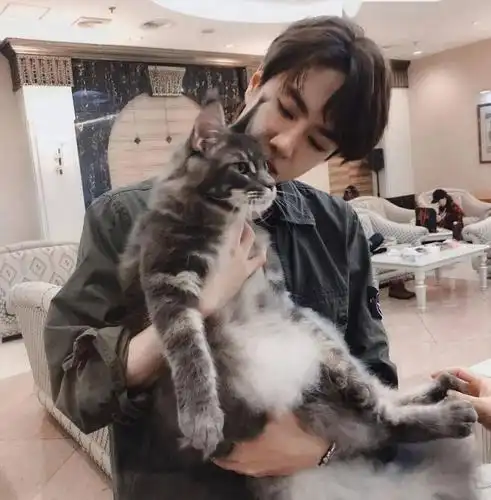 微信头像王一博