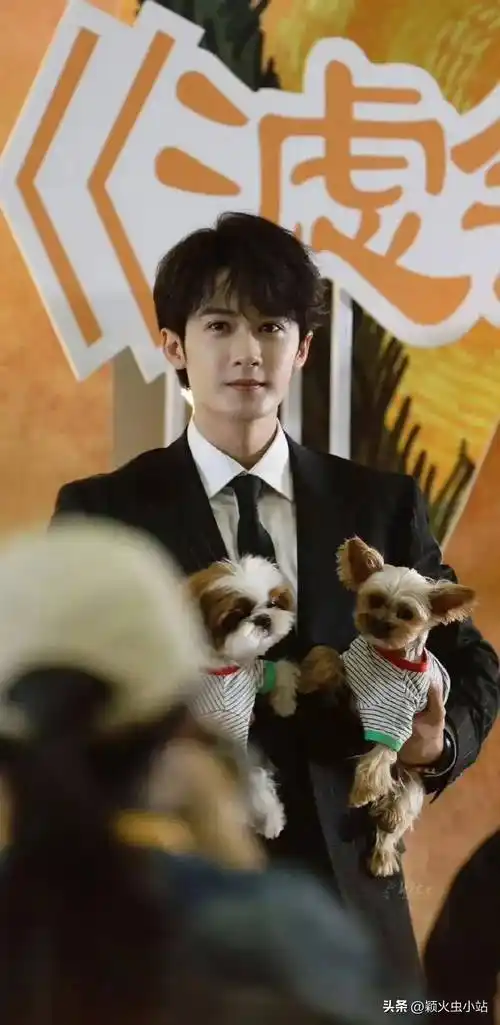 原创325娱乐瓜肖战王一博李现龚俊檀健次唐嫣谭松韵许凯李沁刘学义