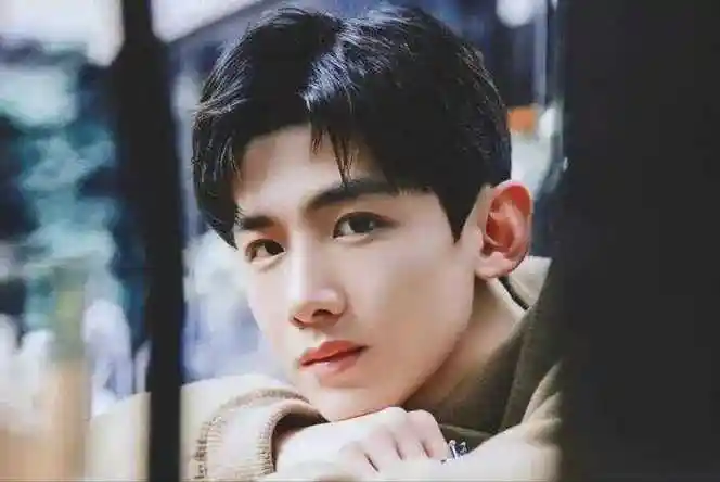 白敬亭在8000万豪宅请何炅吃火锅24年春晚唱上春山被网暴