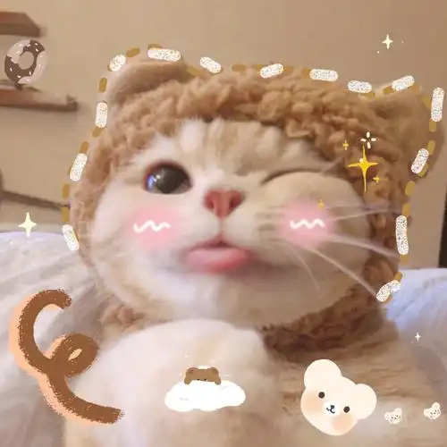 可爱喵喵头像#萌宠猫咪头像