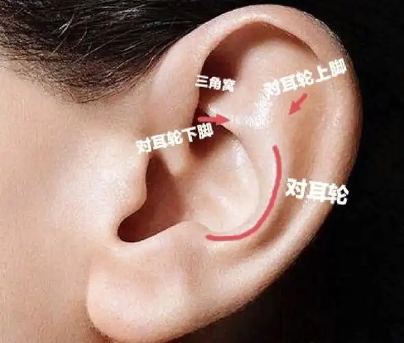 新生儿耳朵形态不好看正常的耳朵和外耳畸