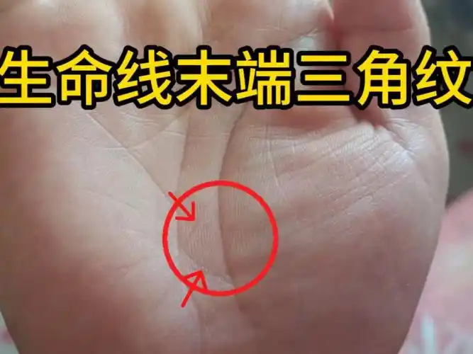 识人有术,生命线末端三角纹