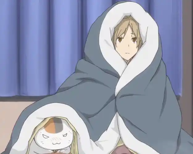 夏目友人帐夏目贵志最温暖的人类喵咪老