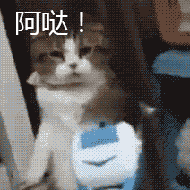 212_212gif 动态图 动图