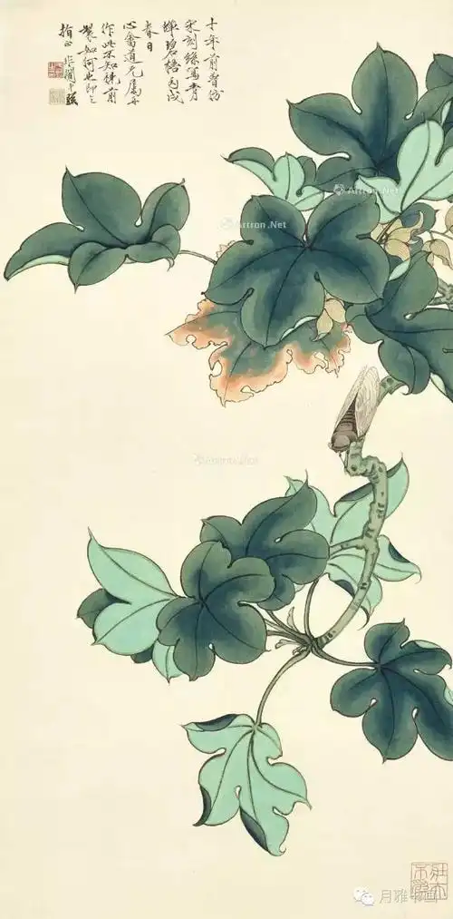 工笔画法及其步骤雄蝉因有很大的发音器,所以会鸣叫,雌蝉需要产卵