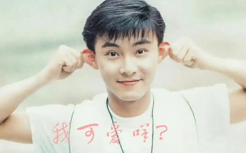 你看过有头发的张卫健吗?简直吊打现在一众花美男!