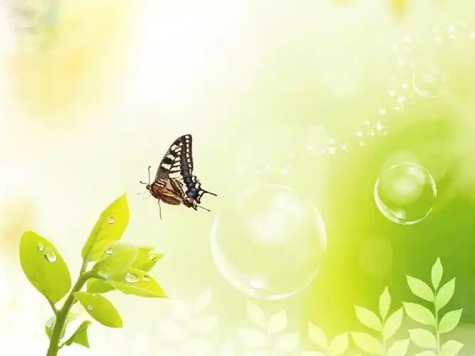 唯美蝴蝶ppt背景模板