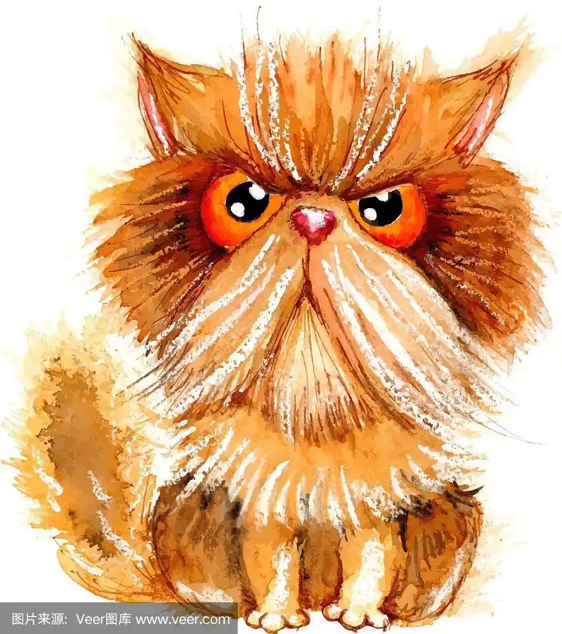 手绘水彩暴躁的波斯猫