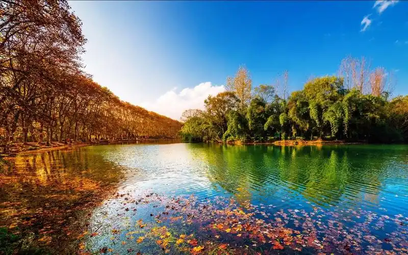 秋天,花溪,秋天,树叶,湖泊,电脑壁纸,壁纸花溪黄金大道风景