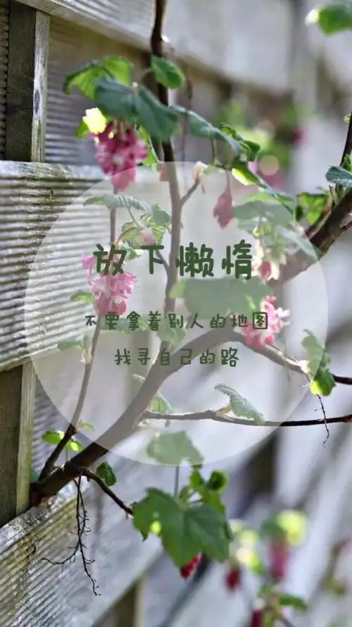 爱生活,爱自己,充满正能量 文字图片