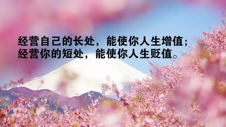 精辟一句话正能量(精辟一句话正能量 情感) - 励志的句子 - 精美文字