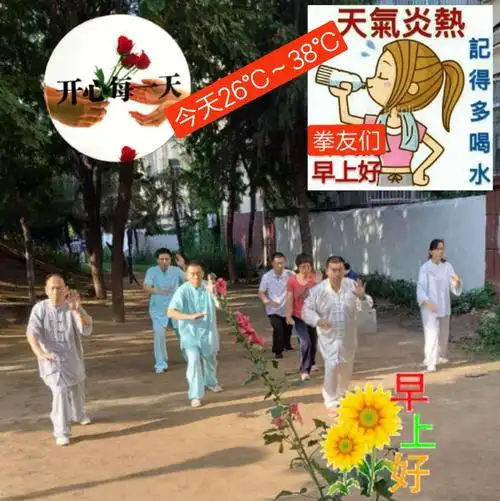 拳友们早上好,天天晨练身体好,吴式太极拳训练基地